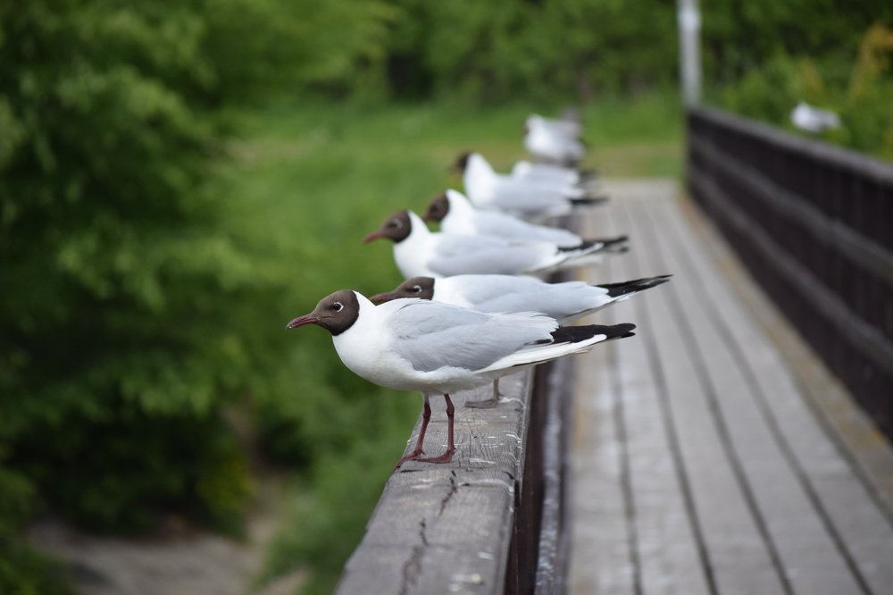 Photograph by Sardana Donskaja