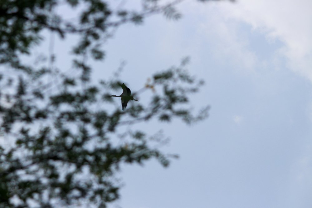 Photograph by Pravin Suthar