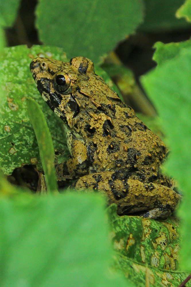 Photograph by Monoj Kumar Das