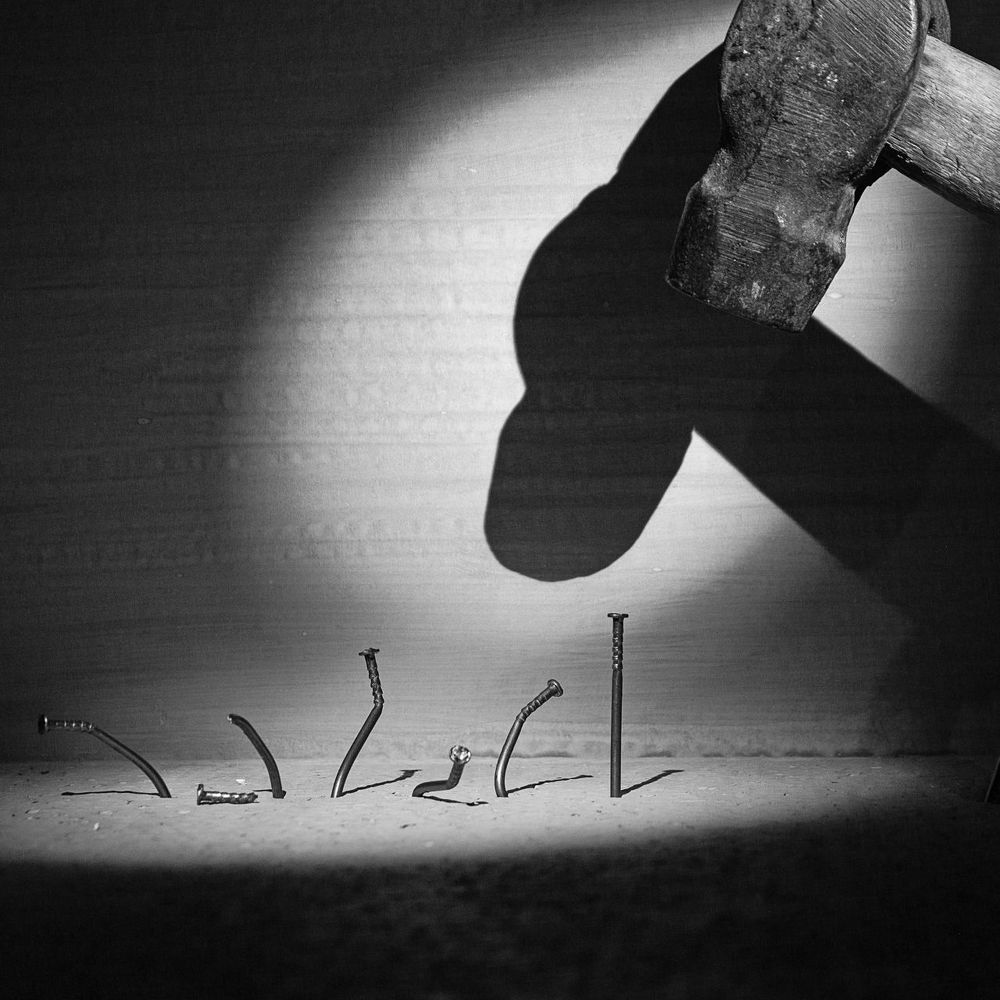 Фотография автора Mansoor Heydaryan