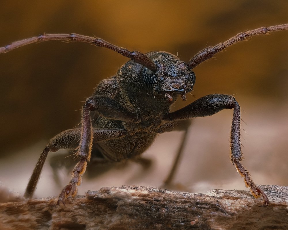 Photograph by Юрьевич Юрий