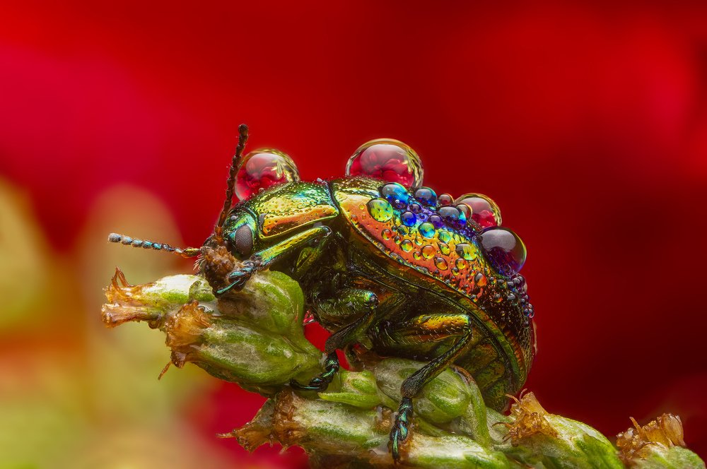 Photograph by Иван Радьков