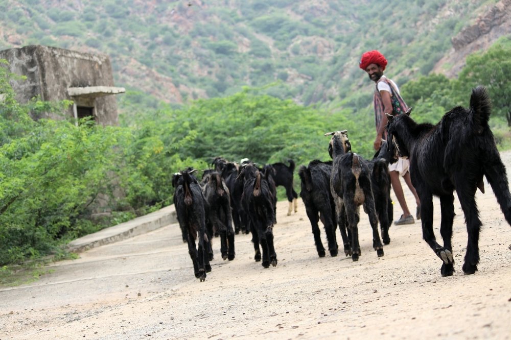 Photograph by Pravin Suthar