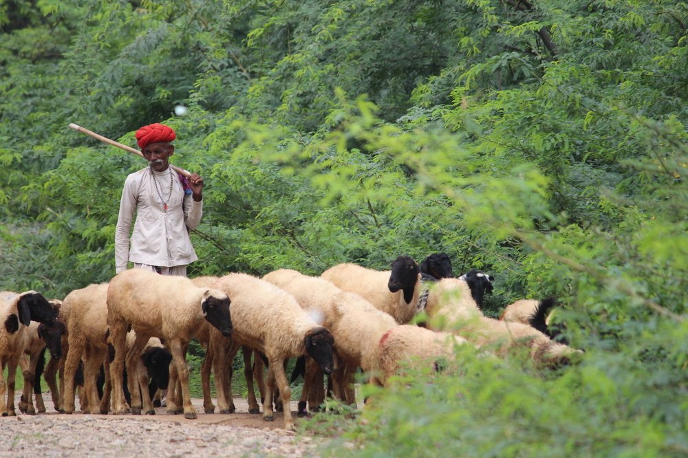 Photograph by Pravin Suthar