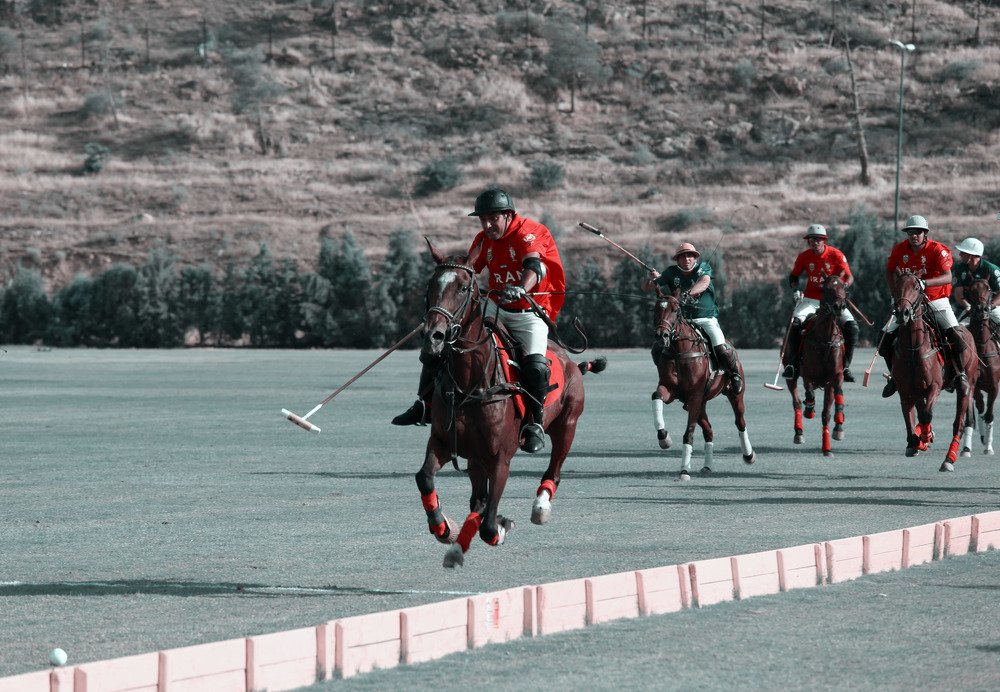 Photograph by Nima Massali