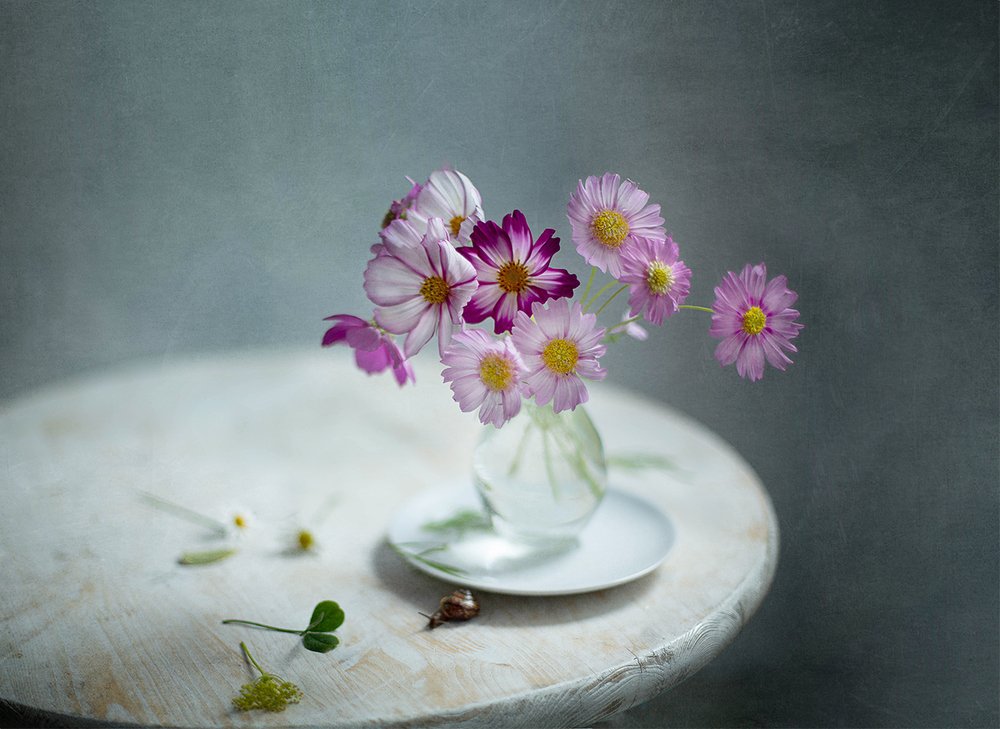 Photograph by Юлия Холодкова