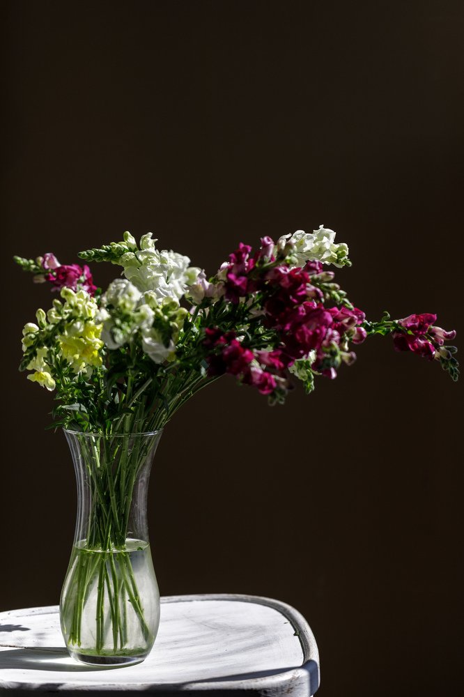 Photograph by Агарков Алексей