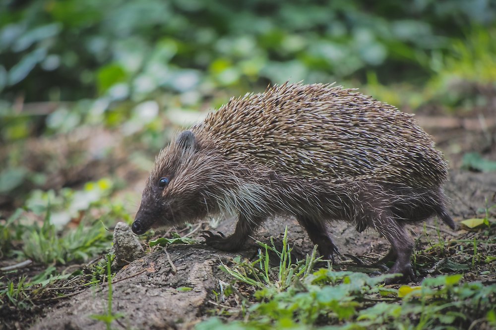 Photograph by Yana Marinova