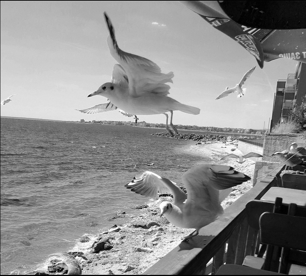 Фотография автора Павел Барский