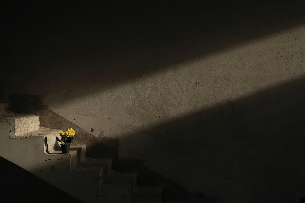 Photograph by abbas valadi