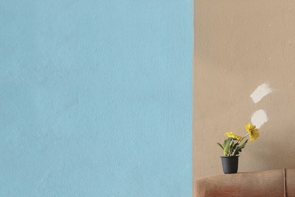 Photograph by abbas valadi