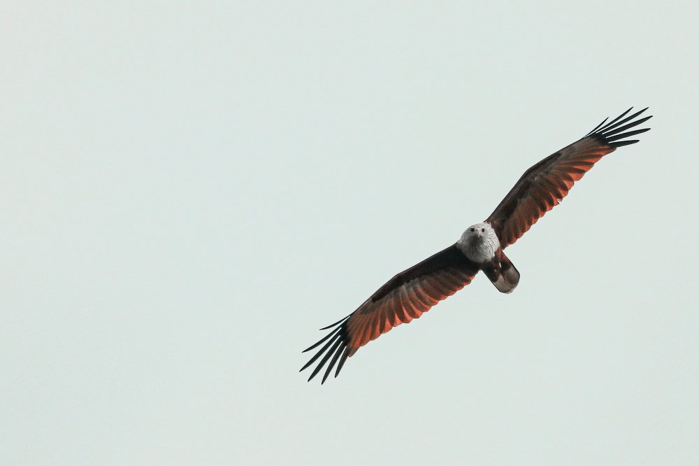 Фотография автора Mahir Anjum