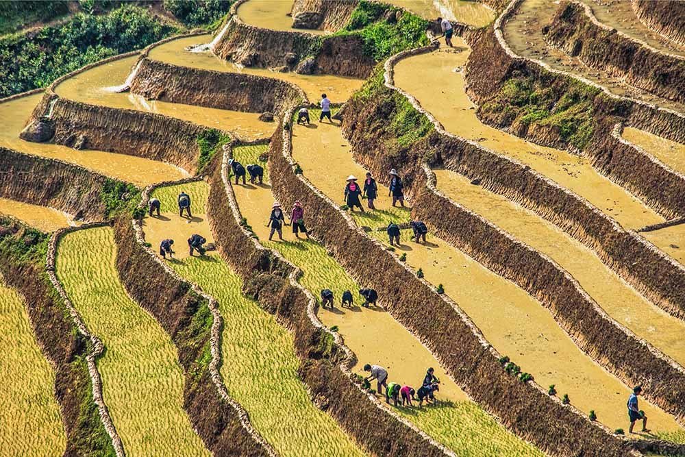 Photograph by KIM CUONG NGUYEN TRANG