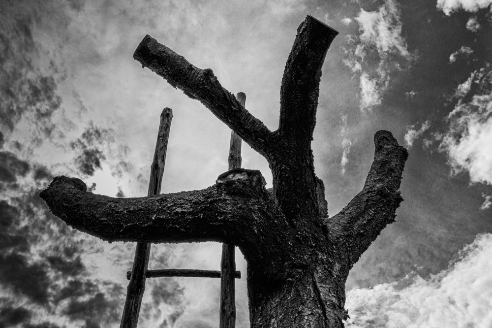 Photograph by Szabolcs Toth