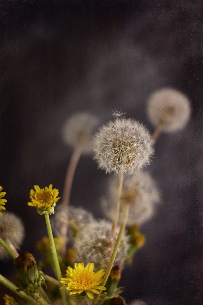 Photograph by Марина Хаева