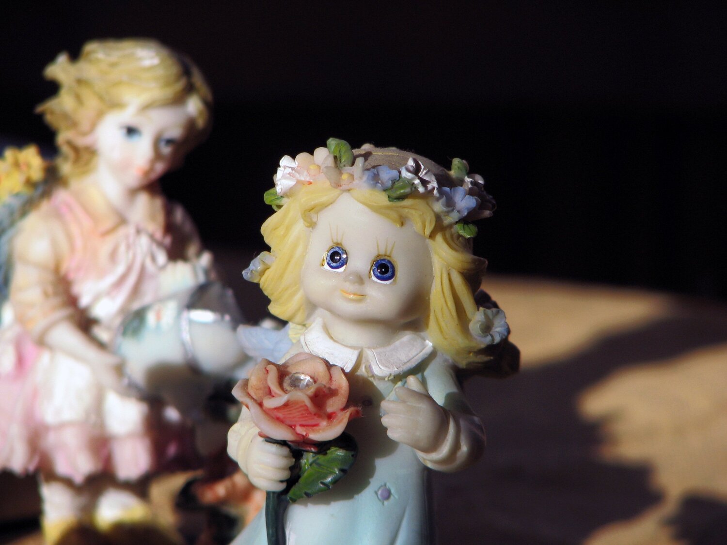 Photo #4951602