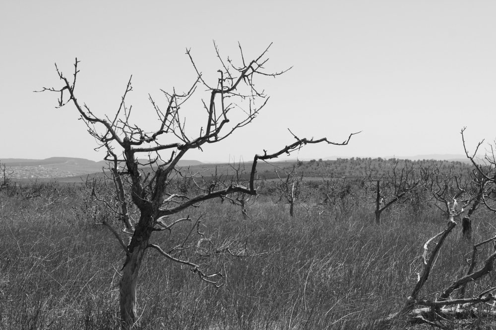 Photograph by Anastasia Kodatenko