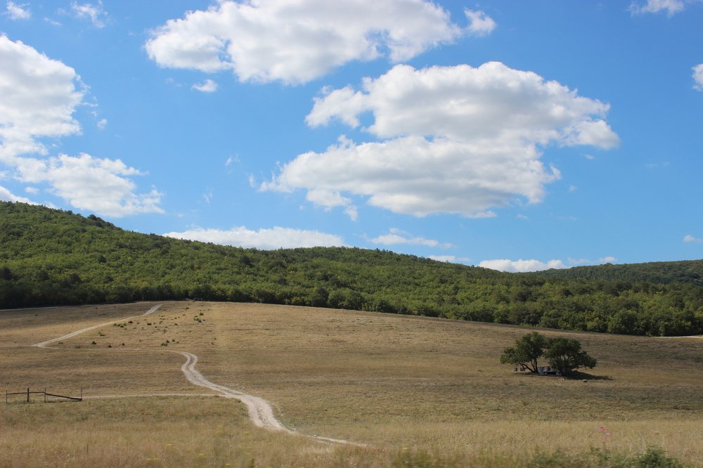 Photograph by Anastasia Kodatenko