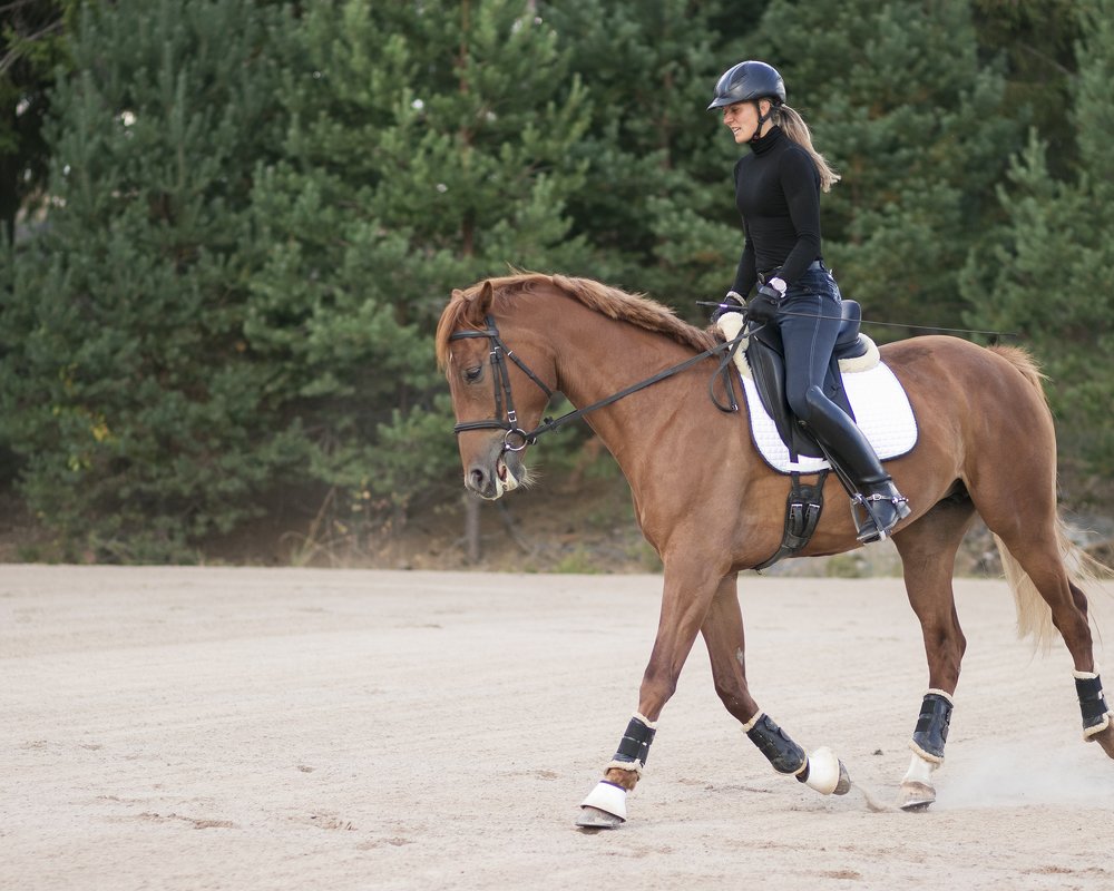 Photograph by Anna Sindikayeva