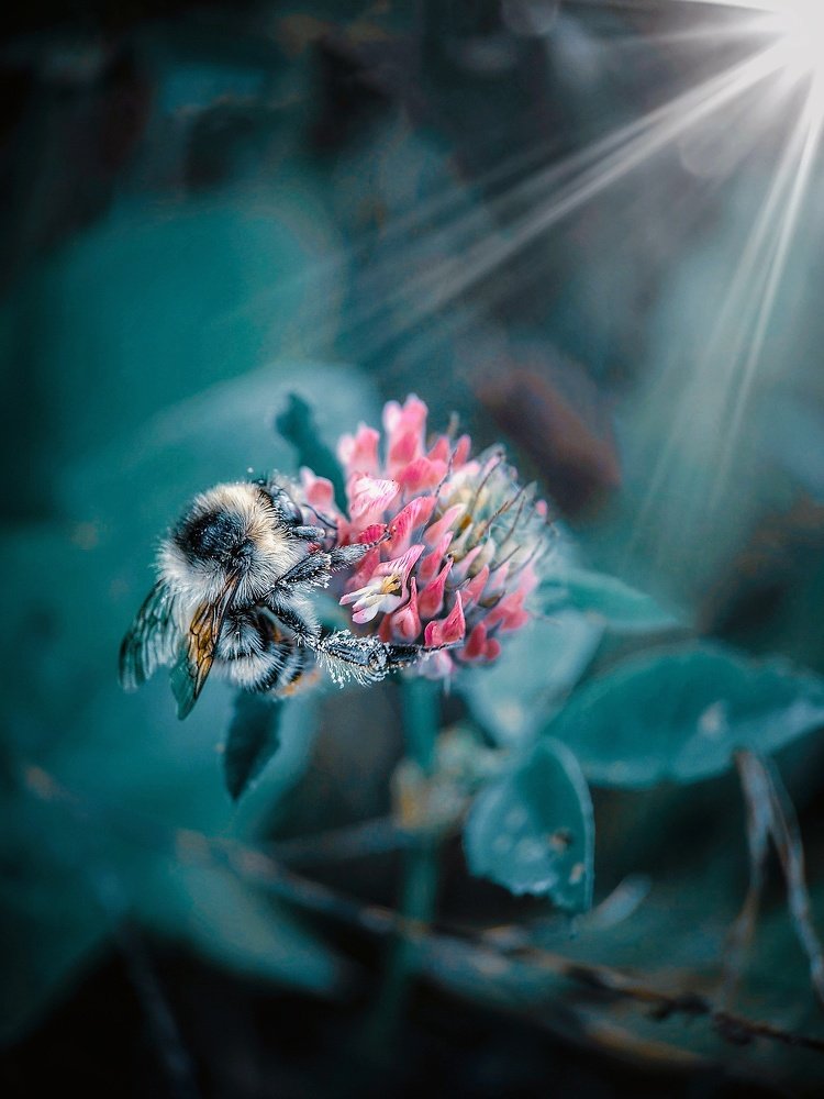 Осенние сладости