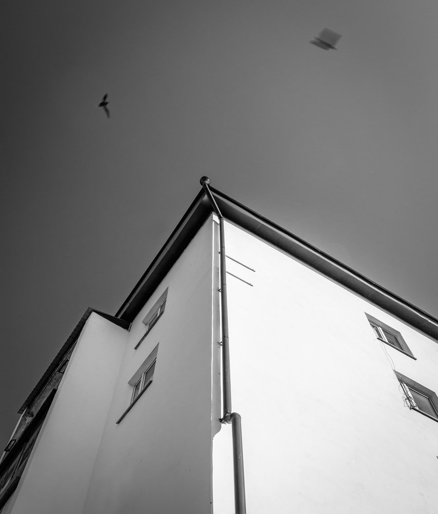 Photograph by Максим Митченко