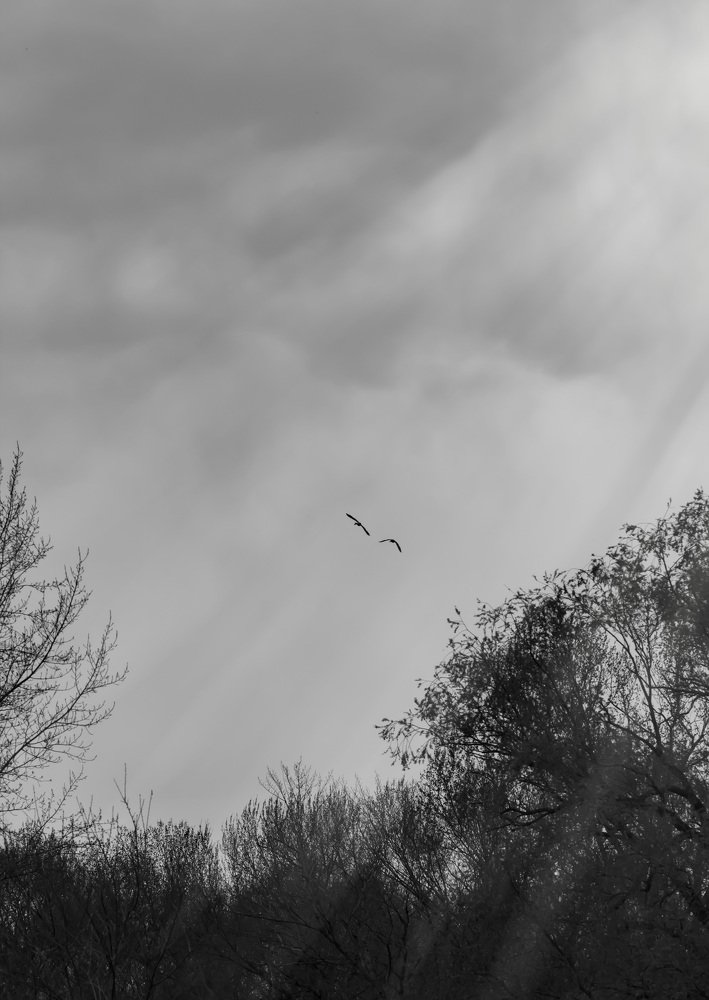 Photograph by Максим Митченко