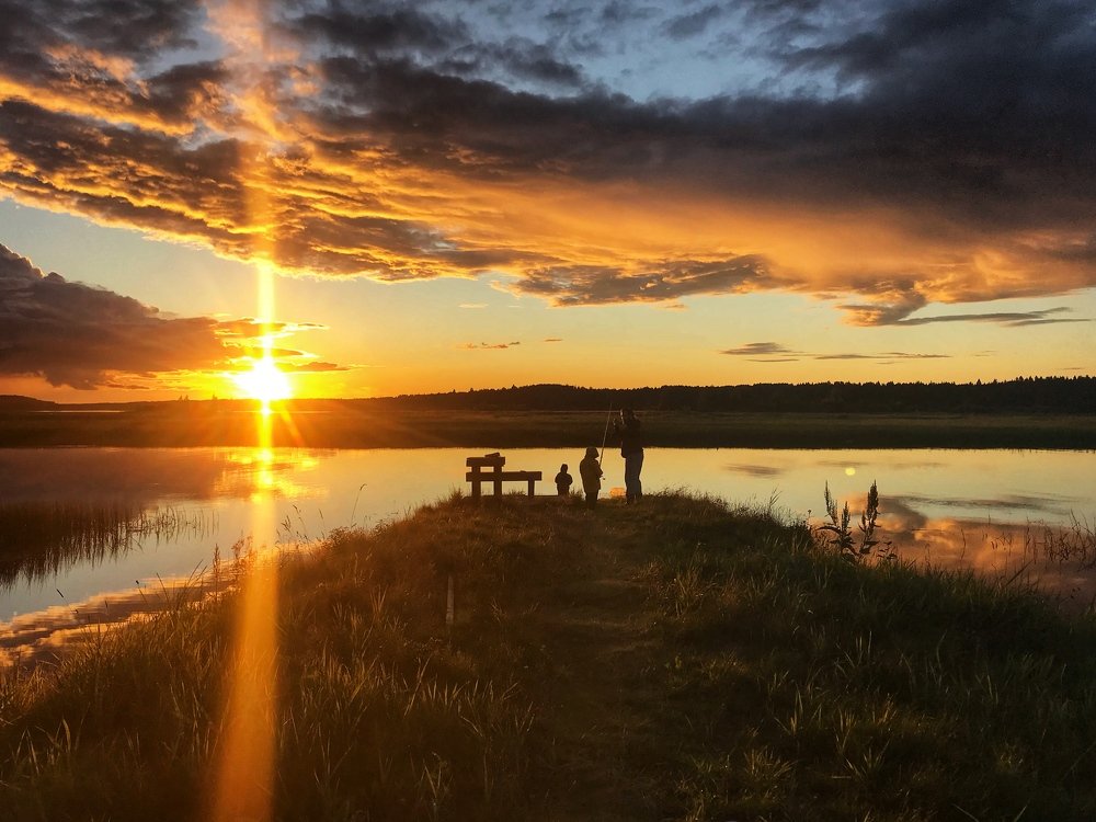 Photograph by Ольга Алейнер