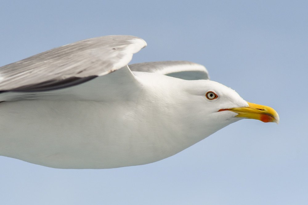 Photograph by Alexandros Melidis