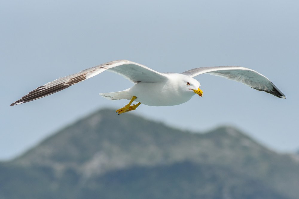 Photograph by Alexandros Melidis