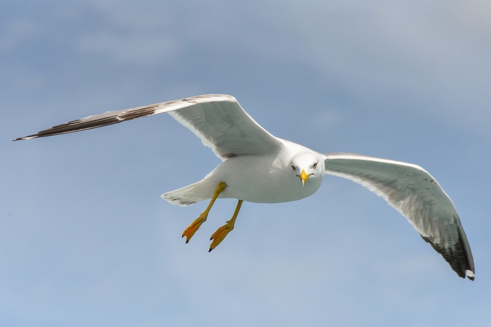 Photograph by Alexandros Melidis