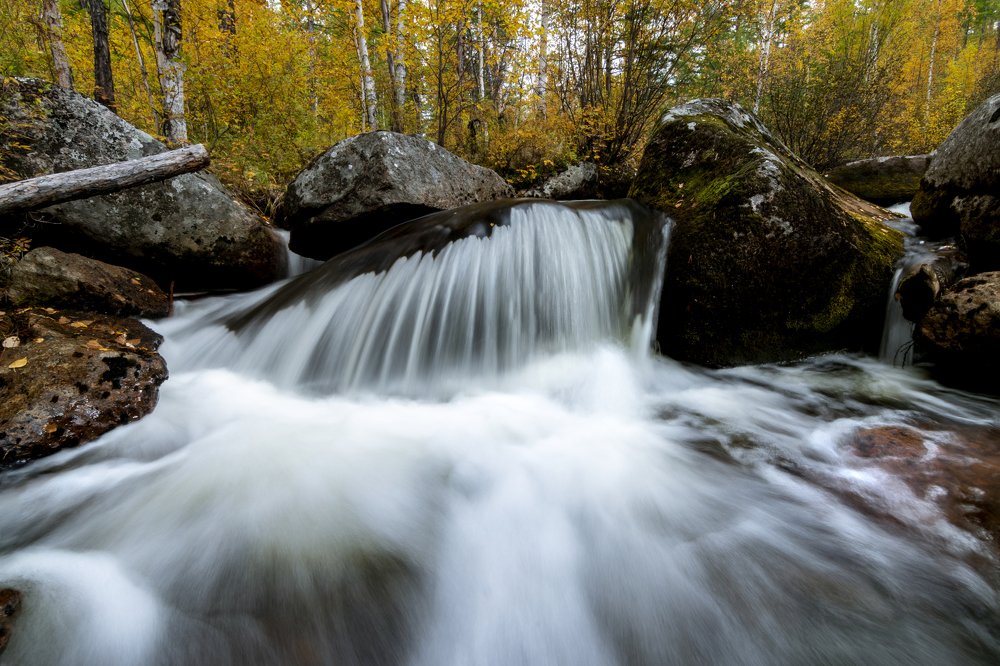 Photograph by Дмитрий Портных