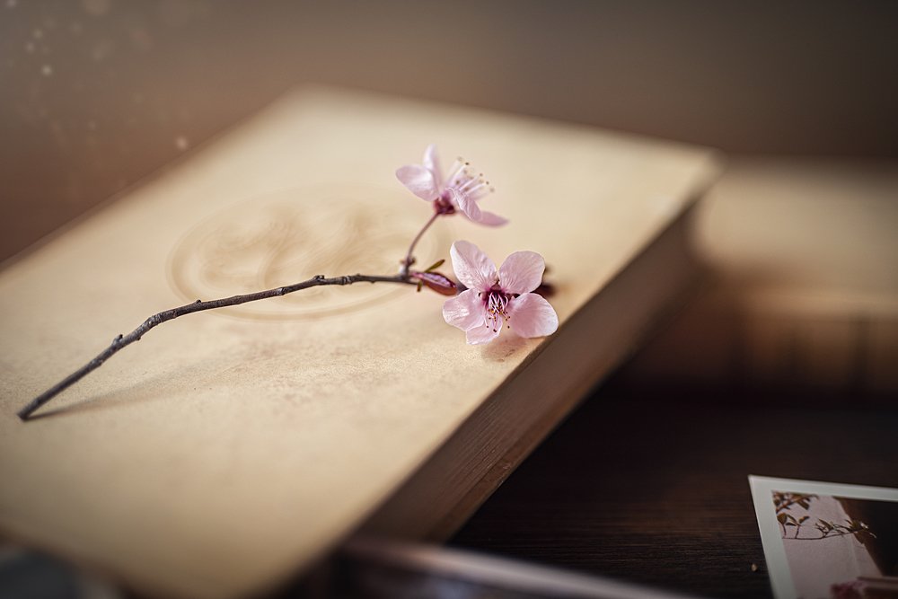 Photograph by Gabriela Juri