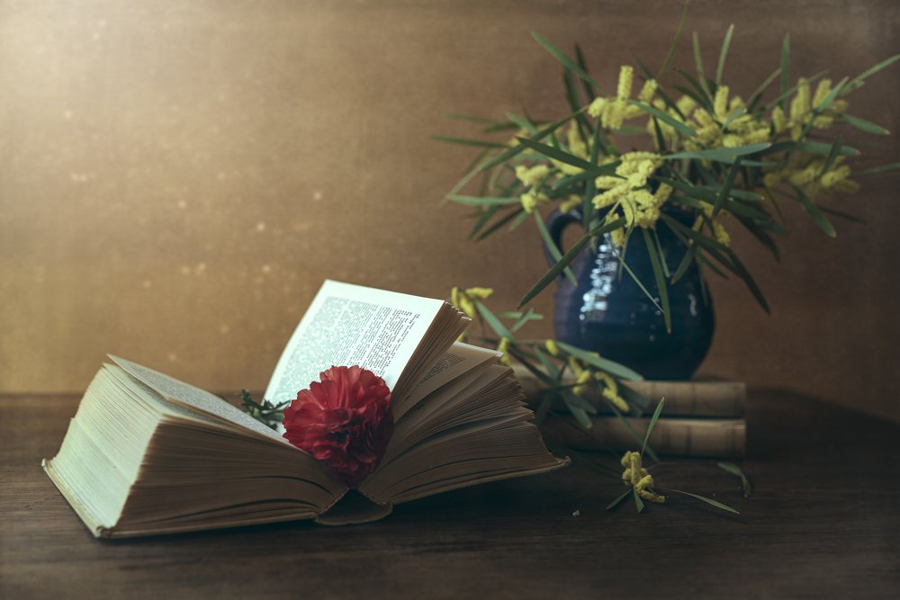 Photograph by Gabriela Juri