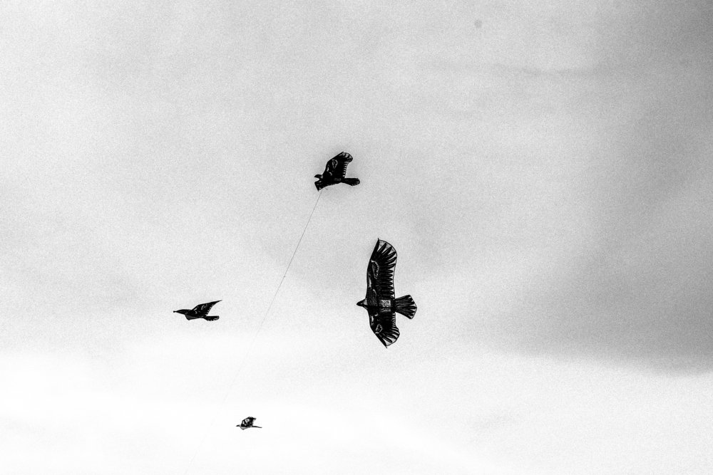 Photograph by Rafi Woaraka Bin Habib