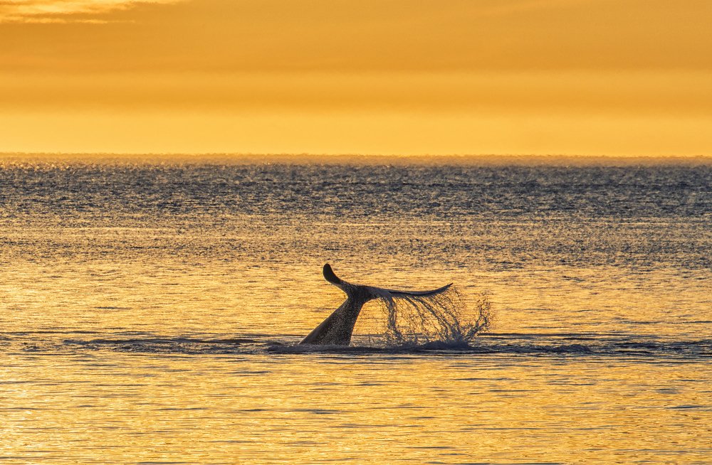 Фотография автора Евгения Кирпиченкова (Клипп)