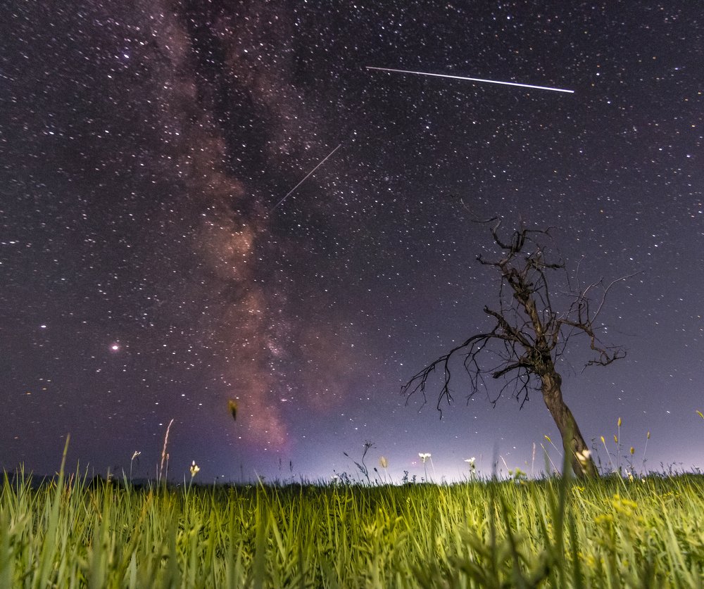 Photograph by Дмитрий Портных