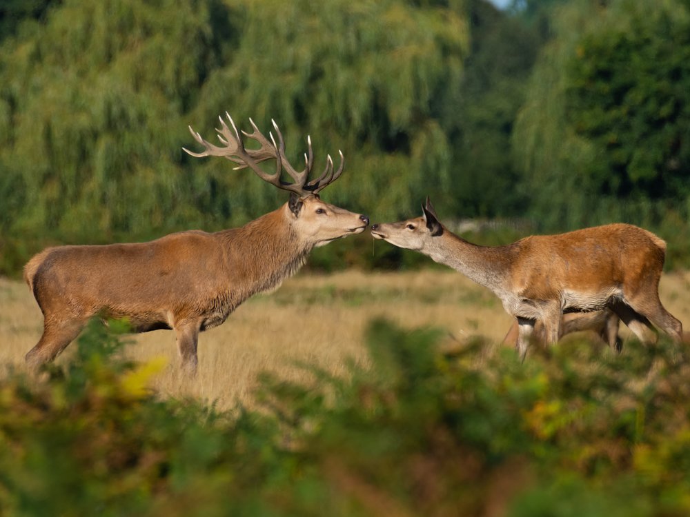 Фотография автора Anandhu M