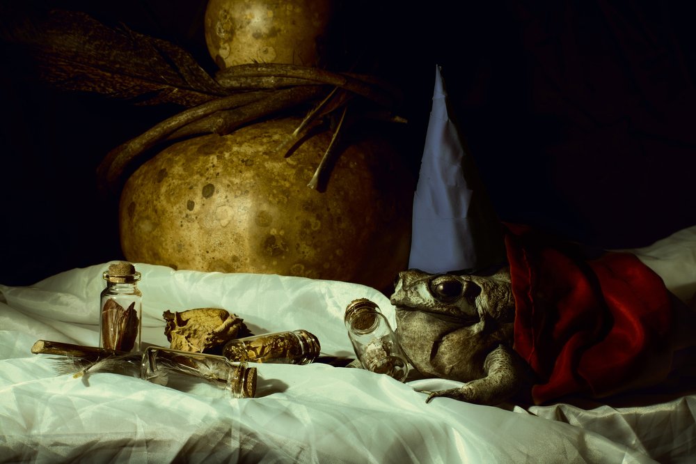 Photograph by Flor Itzel Maldonado Morales