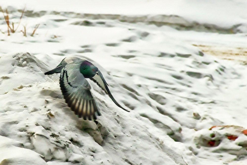 Photograph by Олег Сандалов