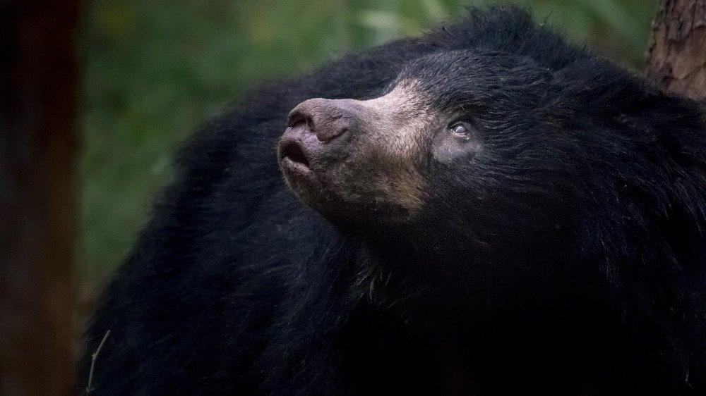 Photograph by Amreetap Mukherjee