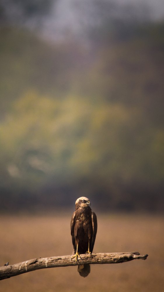 Photograph by Amreetap Mukherjee