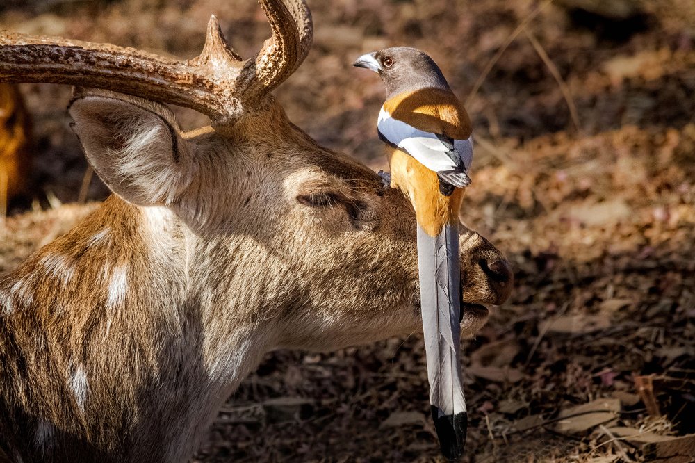 Photograph by Amreetap Mukherjee