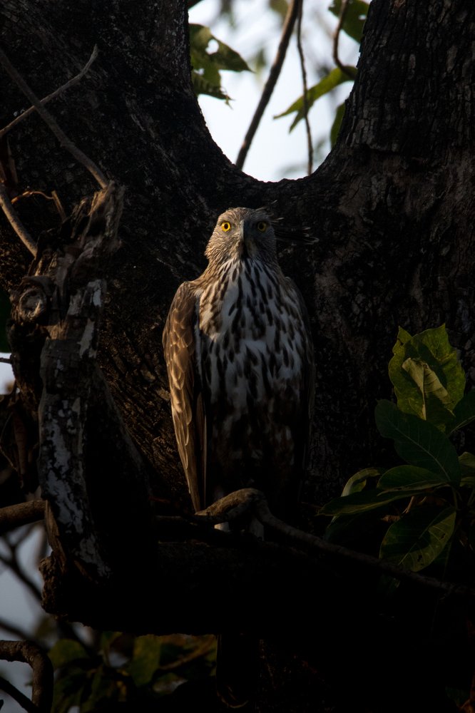 Photograph by Amreetap Mukherjee