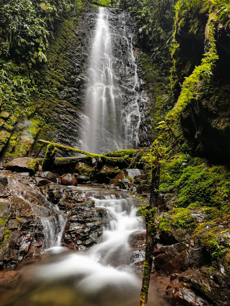 Photograph by Jorge Peñafiel