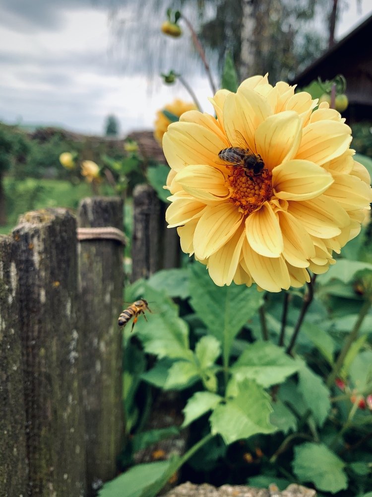 Photograph by Ольга Могдалёва