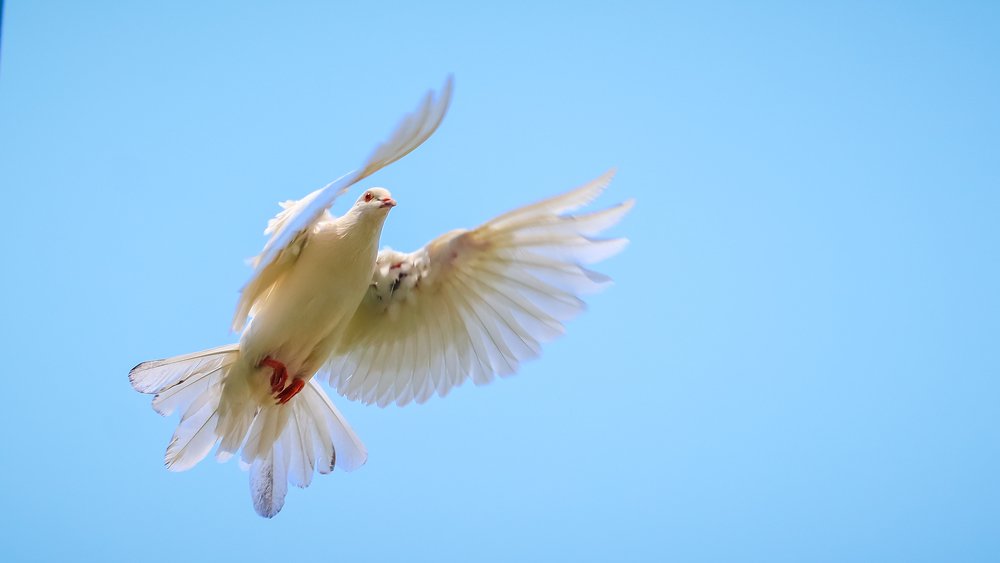 Photograph by kachachart duangket