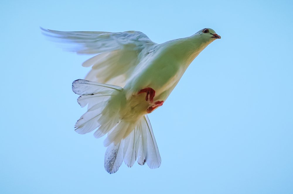 Photograph by kachachart duangket