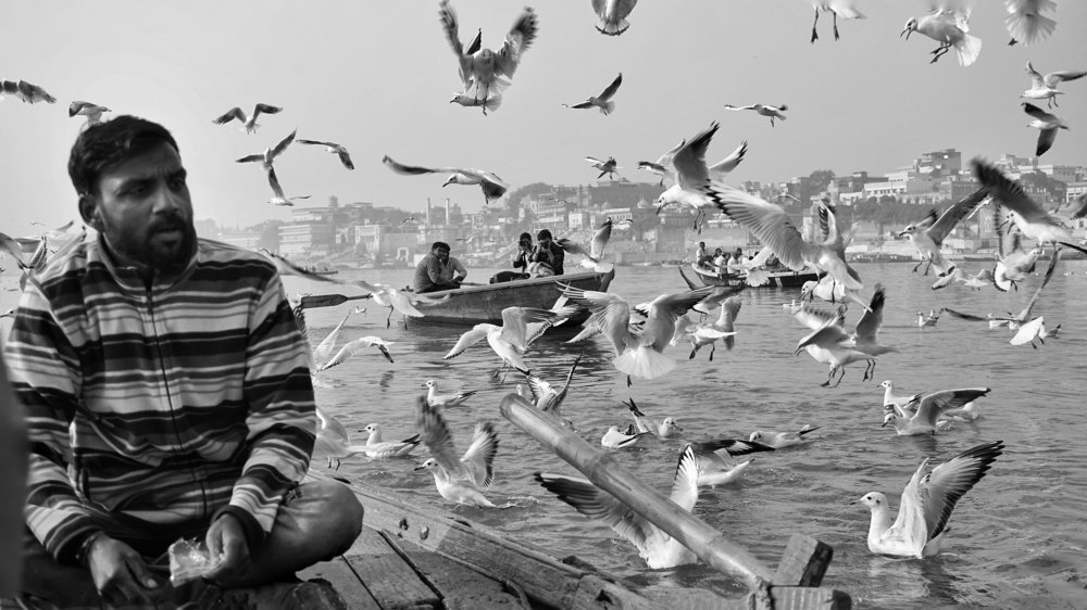 Фотография автора Mridul Chaudhary