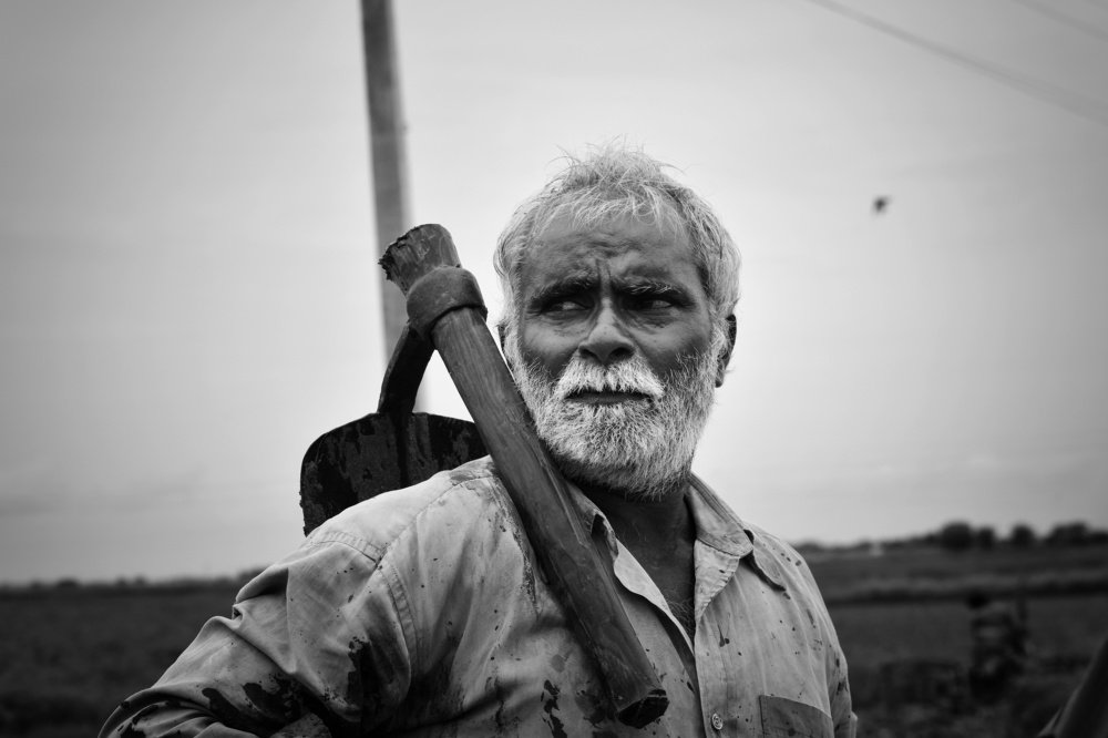 Indian Farmer