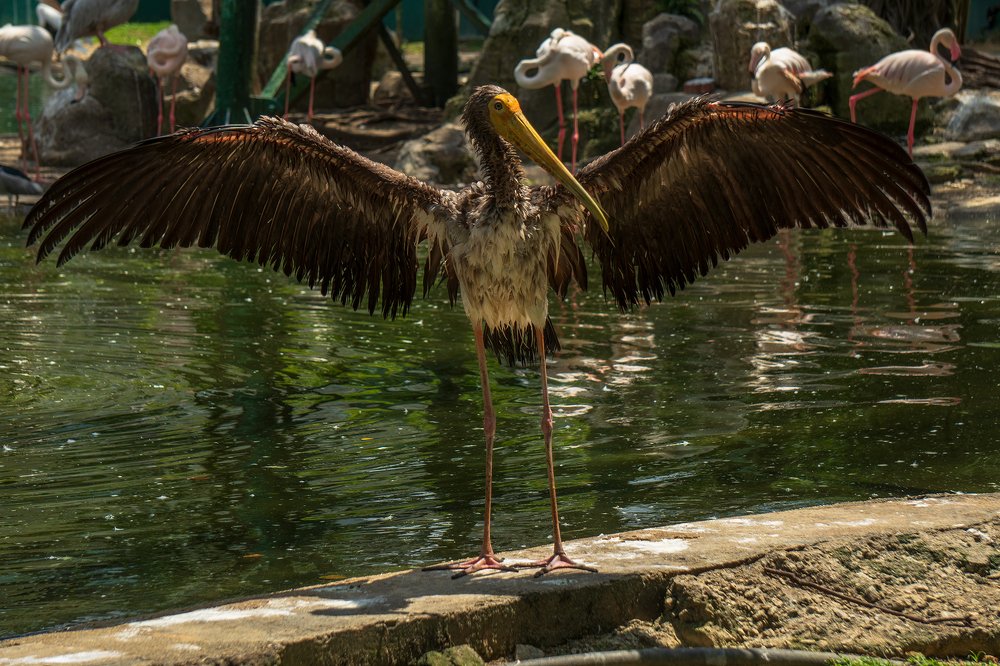 Photograph by Dzianis Mizhui